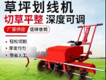 點(diǎn)擊查看詳細(xì)信息<br>標(biāo)題：草皮劃線機(jī) 閱讀次數(shù)：3030